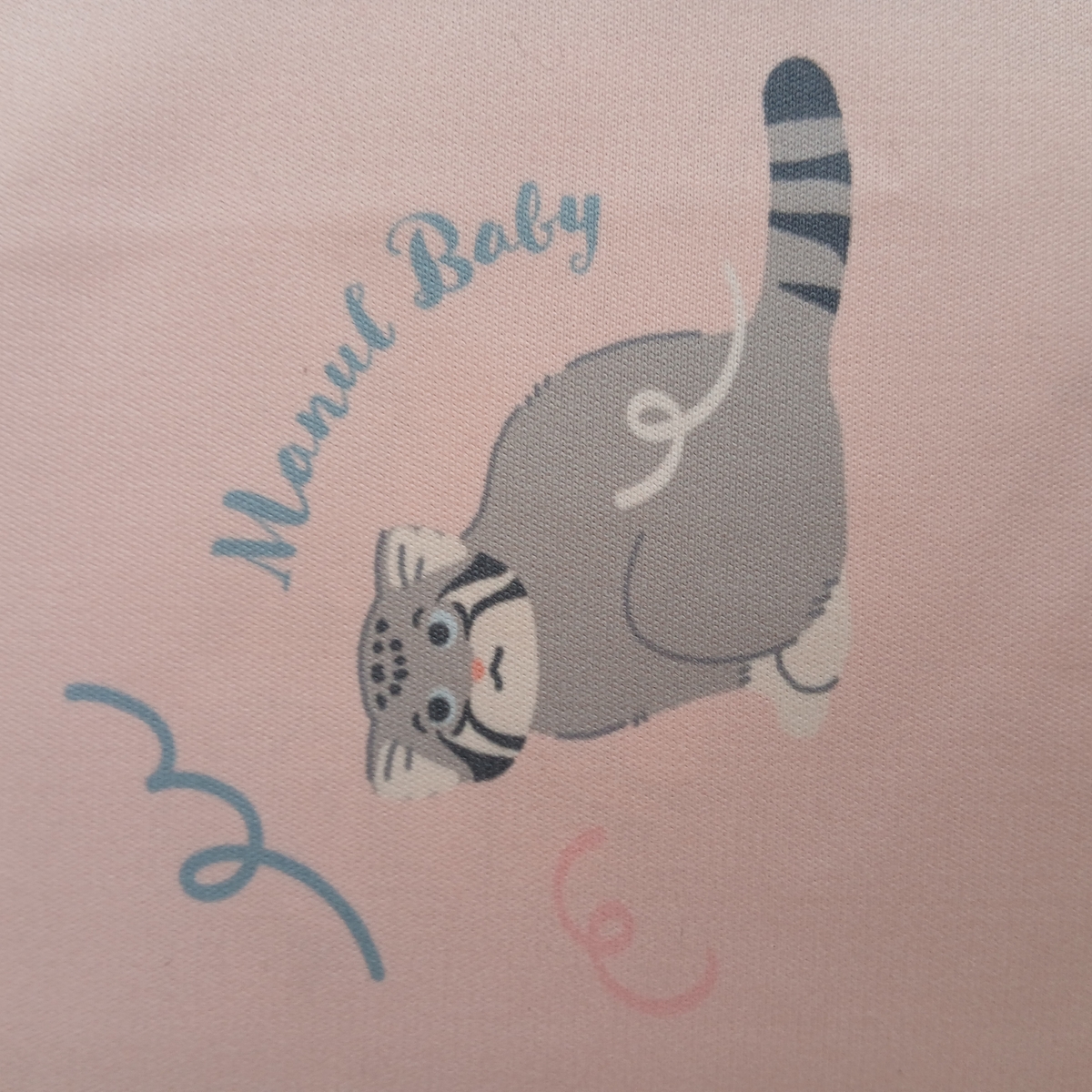 クリーニングクロス MANUL FAMILY 2026 マヌルネコ | 神戸どうぶつ王国NS